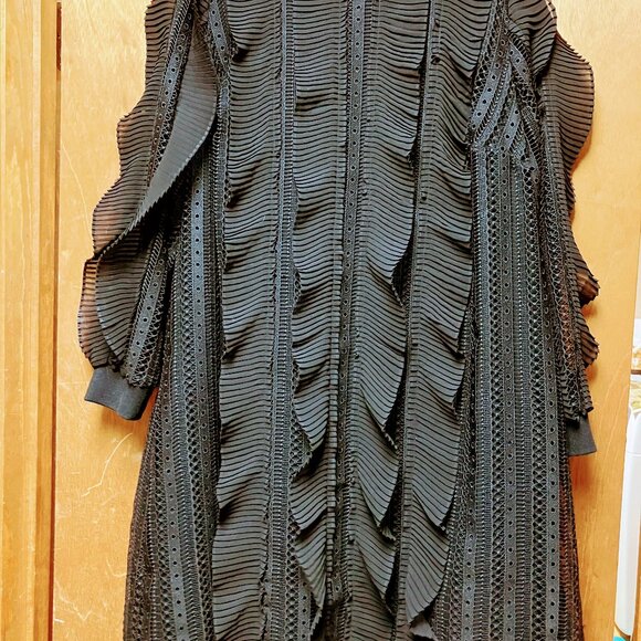 Daniel Rainn for Anthropologie black lace dress - Picture 3 of 9